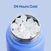 imageInsulated Water Bottle with Straw Stainless Steel Water Bottle LeakProof BPAFree Double Wall Vacuum Keeps Cold for 24 Hours for Sports Travel School 32 oz Azure BlueFrosted Lilac