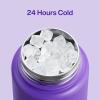 imageInsulated Water Bottle with Straw Stainless Steel Water Bottle LeakProof BPAFree Double Wall Vacuum Keeps Cold for 24 Hours for Sports Travel School 32 oz Azure BlueViolet
