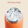 imageInsulated Water Bottle with Straw Stainless Steel Water Bottle LeakProof BPAFree Double Wall Vacuum Keeps Cold for 24 Hours for Sports Travel School 32 oz Azure BlueModerate Orange