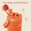 imageInsulated Water Bottle with Straw Stainless Steel Water Bottle LeakProof BPAFree Double Wall Vacuum Keeps Cold for 24 Hours for Sports Travel School 32 oz Azure BlueModerate Orange