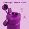 imageInsulated Water Bottle with Straw Stainless Steel Water Bottle LeakProof BPAFree Double Wall Vacuum Keeps Cold for 24 Hours for Sports Travel School 32 oz Azure BlueBright Magenta