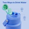 imageInsulated Water Bottle with Straw Stainless Steel Water Bottle LeakProof BPAFree Double Wall Vacuum Keeps Cold for 24 Hours for Sports Travel School 32 oz Azure BlueFrosted Lilac