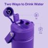 imageInsulated Water Bottle with Straw Stainless Steel Water Bottle LeakProof BPAFree Double Wall Vacuum Keeps Cold for 24 Hours for Sports Travel School 32 oz Azure BlueViolet