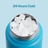 imageInsulated Water Bottle with Straw Stainless Steel Water Bottle LeakProof BPAFree Double Wall Vacuum Keeps Cold for 24 Hours for Sports Travel School 32 oz Azure BlueAzure Blue