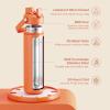 imageInsulated Water Bottle with Straw Stainless Steel Water Bottle LeakProof BPAFree Double Wall Vacuum Keeps Cold for 24 Hours for Sports Travel School 32 oz Azure BlueModerate Orange